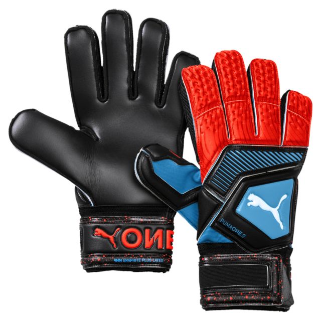 Puma One Protect 2 RC GK Glove
