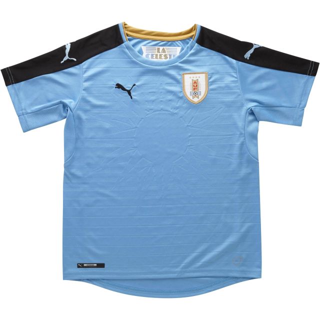puma jersey 2018