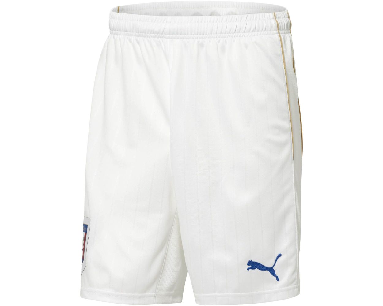 Puma cheap shorts 2015