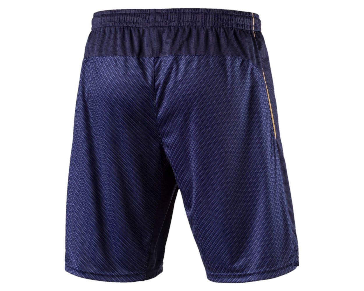 Puma shorts 2016 online