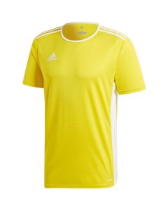 Adidas Entrada 18 Youth Jersey - Yellow