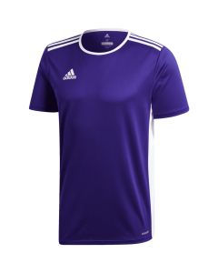 Adidas Entrada 18 Youth Jersey - Purple