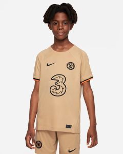Nike Chelsea Y 3rd Jsy 2022 - Gold