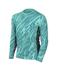Nike Long Sleeve Gardien V Jersey - Blue