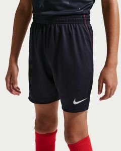 Nike USA Youth Away Shorts 2026 - Dark Obsidian