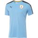 uruguay national team jersey